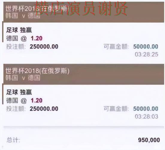 FIFA World Cup 2026期间热门世界杯买球平台精选与直播入口分析